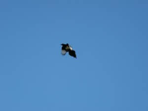 dscf0022