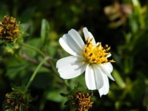 dscf0029