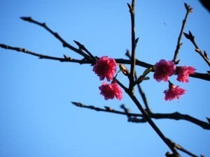 dscf0167