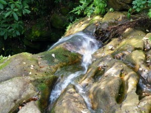 dscf0814